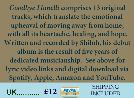 Goodbye Llanelli CD