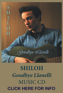 Goodbye Llanelli CD - Click for photo